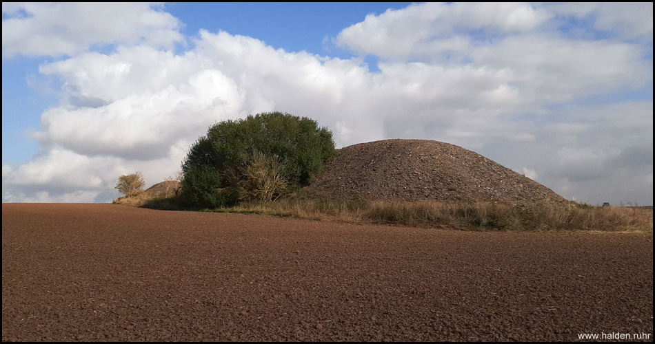 Kleinhalde in einem Acker, nur durch wenige Büsche bewachsen und sonst kahl