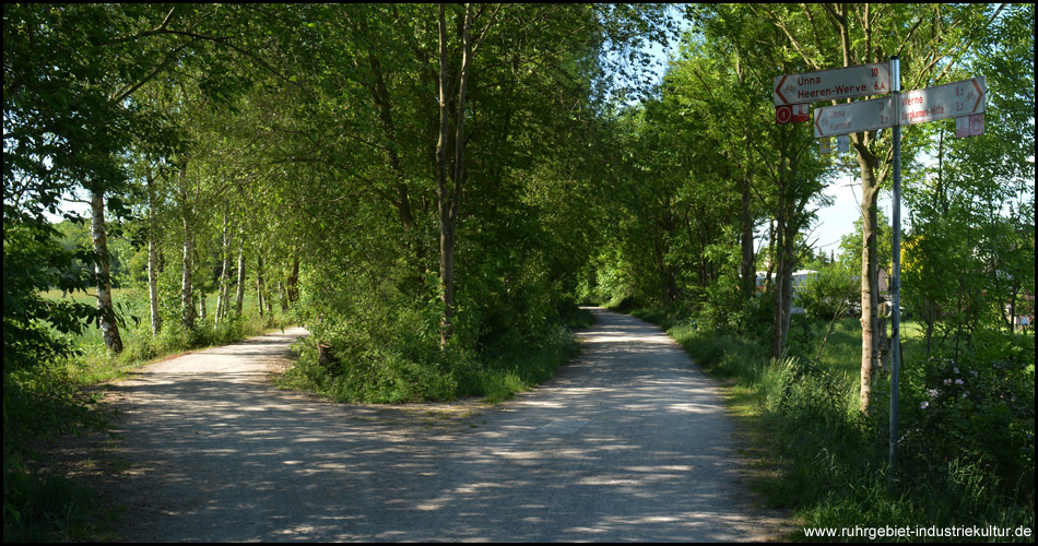 Hier befand sich früher ein Schienen-Abzweig: Klöcknerbahntrasse links und Strecke zum Bahnhof Kamen rechts (Blick zurück)