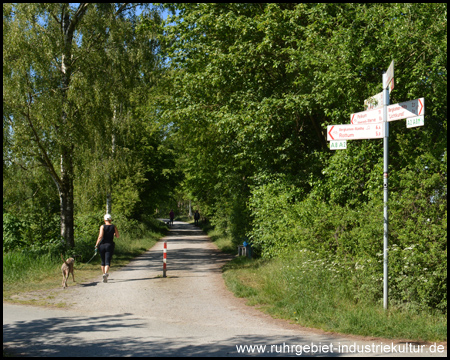 Zwischen Kamen und Bergkamen (Blick zurück)