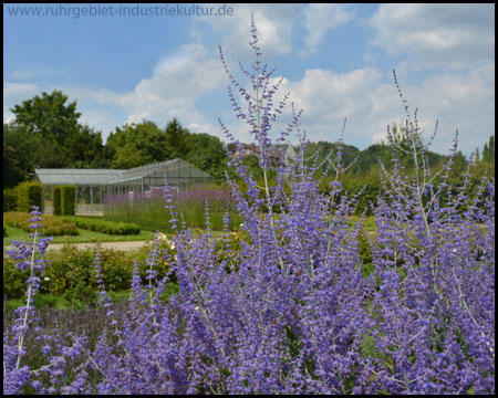 Farbenfroher Garten