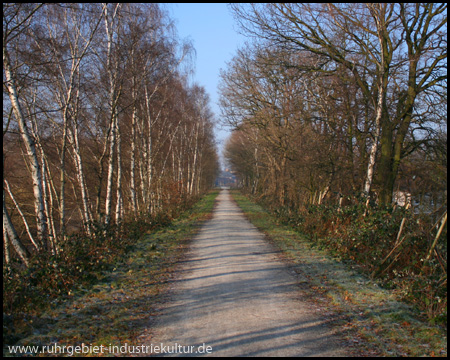 Radweg auf der alten, schnurgeraden König-Ludwig-Trasse