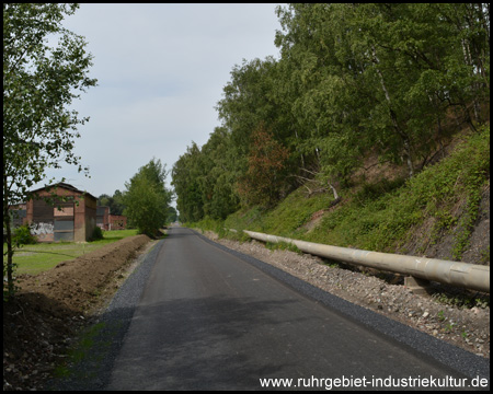 Bergehalde gegenüber vom Lokschuppen