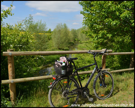 Flussschlingen hinter dem Fahrradparkplatz