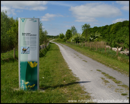 "Ruhe bitte! Hier wird gebrütet..." – Infotafel am Wegesrand