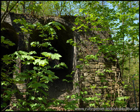 Alte Steinbögen der Kokerei Neu-Iserlohn im Wald