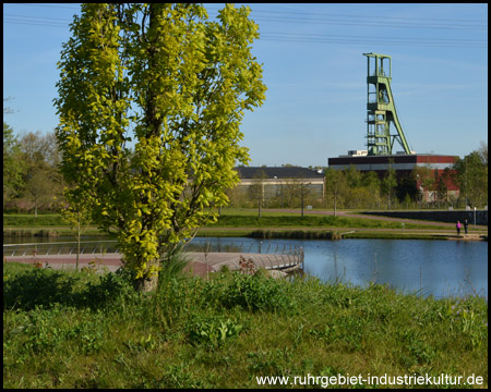 Krupp-Park in Essen