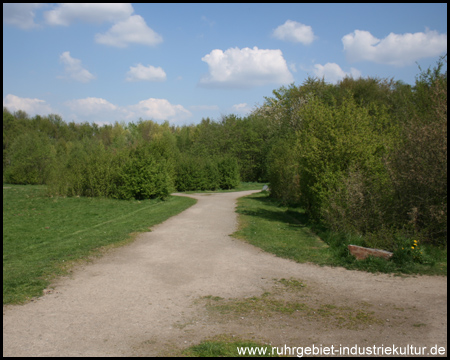 Kruppwald in Günnigfeld