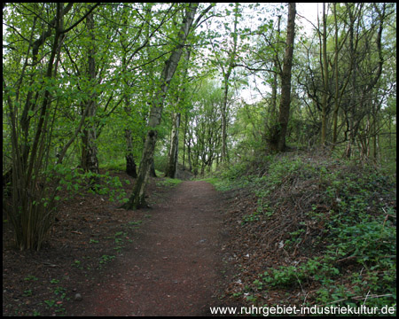 Kruppwald in Günnigfeld