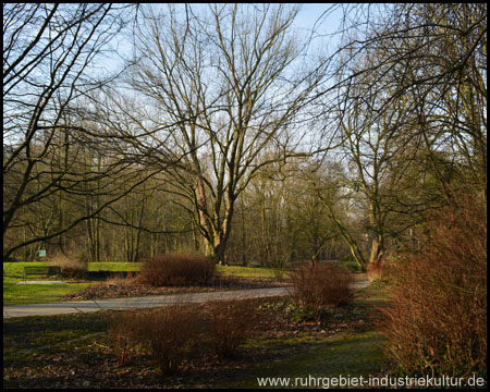 Auch im tristen Winter bunte Farben