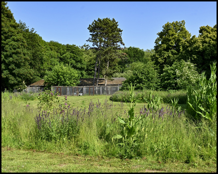 Kurpark Königsborn