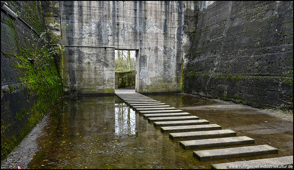 In einem Möllerbunker: Betonwände mit Rissen und erster Vegetation. Am Boden eine große Wasserpfütze, die über parallel hintereinander liegende Steine überquert werden kann