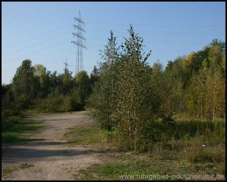 Landschaftspark Pluto 5 in Herne