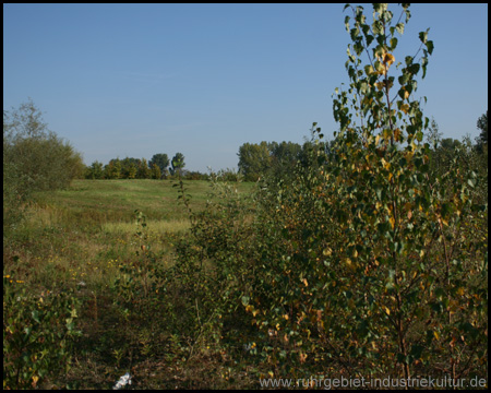 Landschaftspark Pluto 5 in Herne