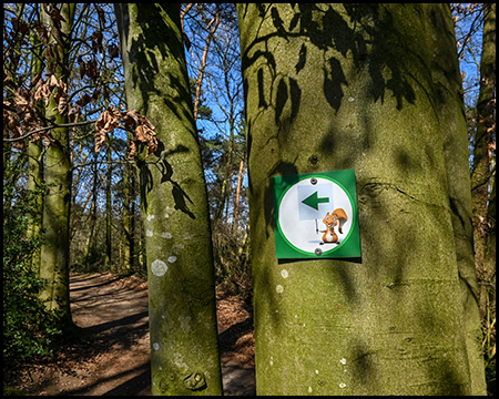Ein Wanderwegweiser mit einer Eichhörnchen-Illustration an einem moosbedeckten Baumstamm, der den Weg nach links anzeigt.