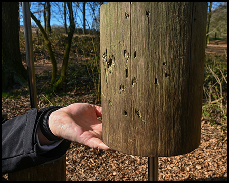 Eine Hand wiegt einen Holzpfahl mit kleinen Löchern