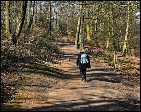 Eine Person mit Rucksack wandert auf einem ruhigen Waldweg, umgeben von kahlen Bäumen im Vorfrühling.