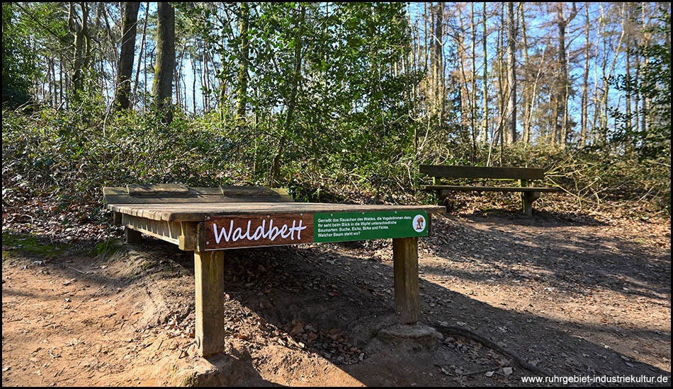 Eine Holzliege mit dem Schild "Waldbett" im Wald platziert. Eine Einladung zum Verweilen und Naturerleben.