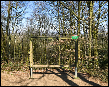 Ein Bilderrahmen im Wald mit der Beschriftung "Waldglotze"
