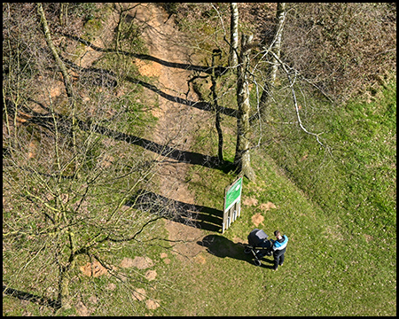 Von einer erhöhten Stelle sichtbarer Anfang eines Waldweges mit einer Infotafel. Davor steht eine Person mit Kinderwagen