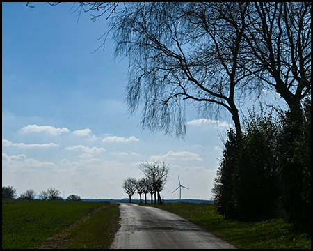 Eine Landstraße, die durch grüne Felder führt, mit Bäumen am Straßenrand und einem Windrad am Horizont unter blauem Himmel.
