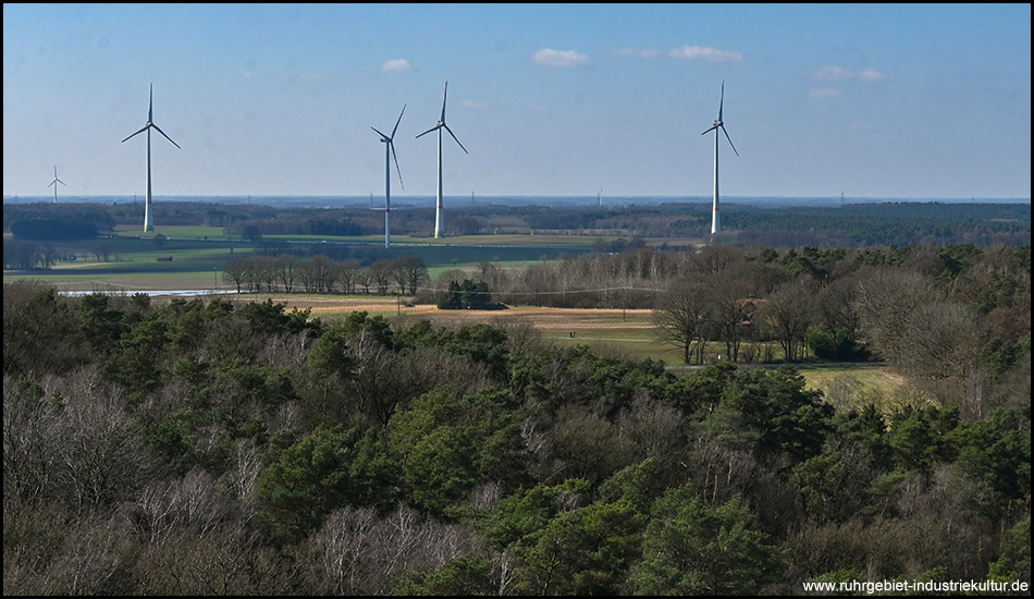 Panoramablick über eine waldreiche Landschaft mit mehreren Windkraftanlagen, die sich über Felder und Waldgebiete erstrecken.
