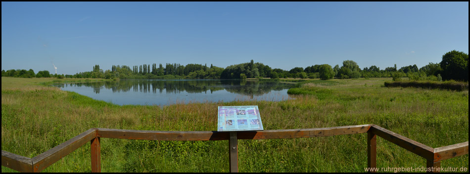 Steg mit Aussichtsplattform und Informationstafel zur Entstehung, Flora und Fauna des Lanstroper Sees