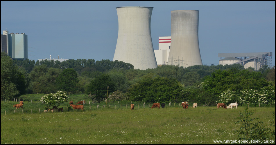 Hinter der Lippeaue befand sich bis vor Kurzem noch ein Kraftwerk, das inzwischen teilweise abgerissen ist