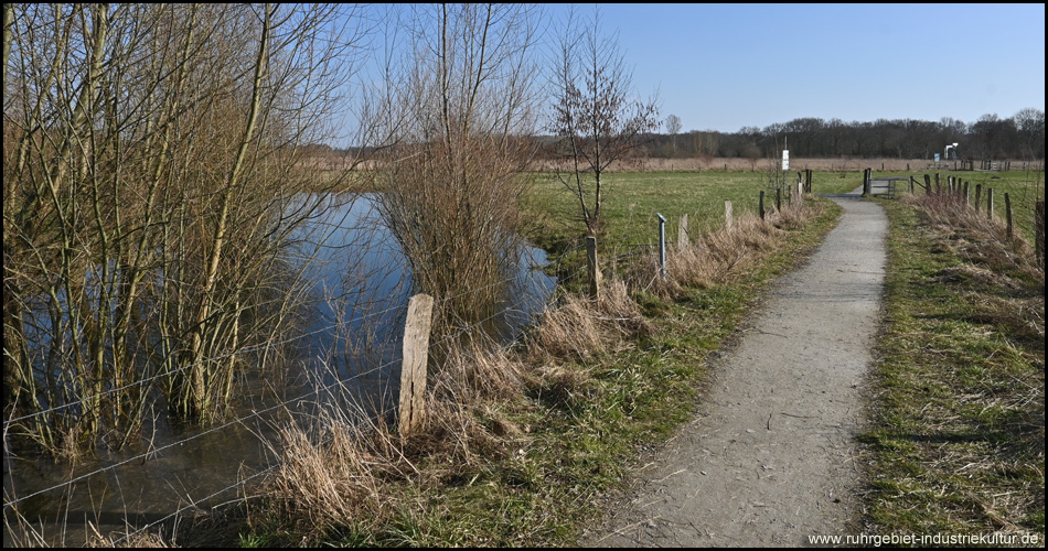 Römer-Lippe-Route in der Aue