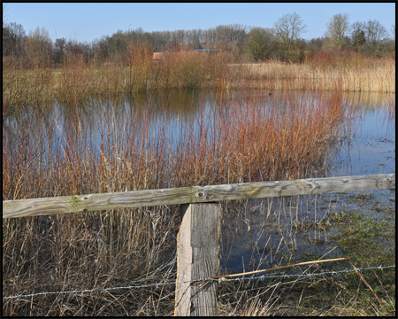 Auch im Frühjahr farbenfrohe Landschaft