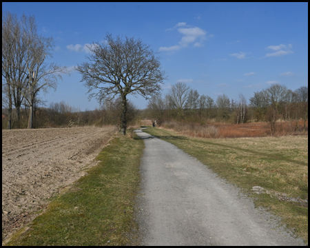 Lippeauenpfad in Hamm