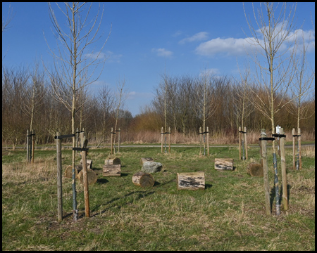 Am Lippeauenpfad in Hamm