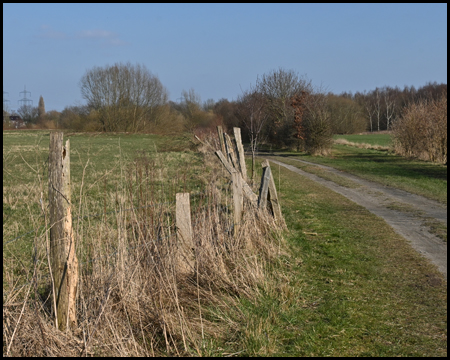 Lippeauenpfad in Hamm