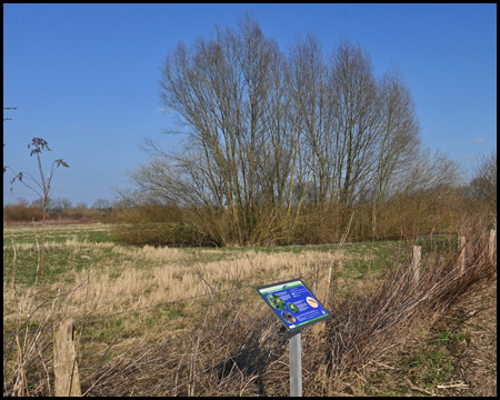 Erlebnisstation am Lippeauenpfad