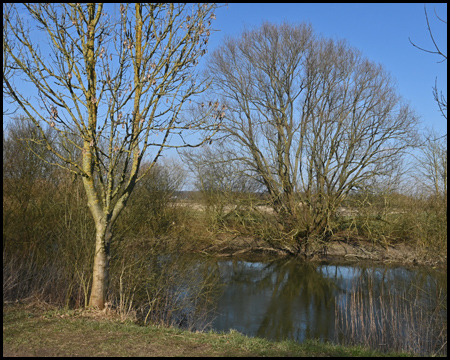 Am Ufer der Lippe kurz vor Haus Haaren 