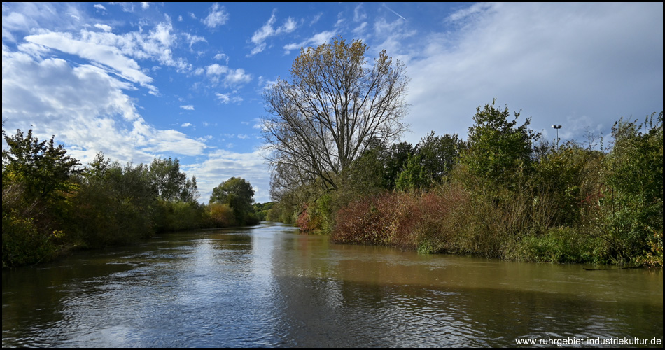 Lippe an der Lippefähre "Lupia"