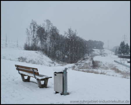 Bank mit Blick auf die alte Halde Franz (mit Baumbestand)