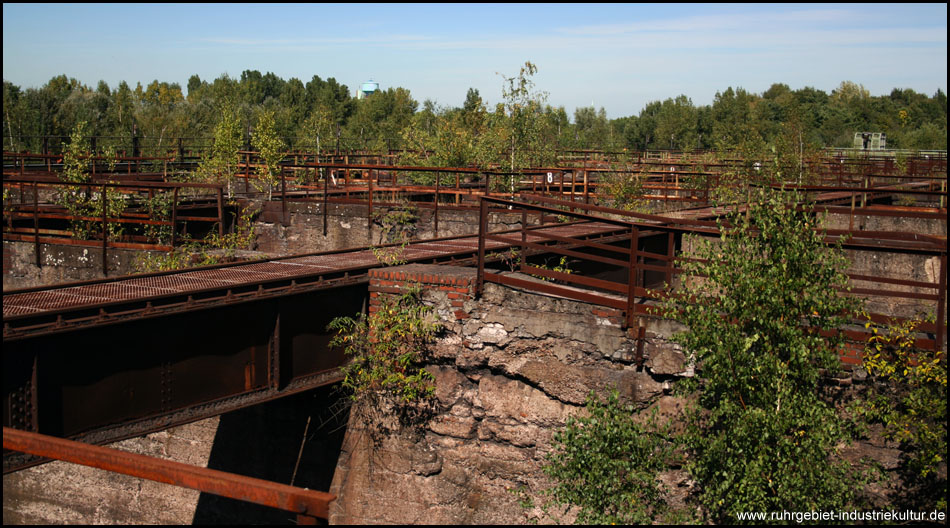 Möllerbunker im Landschaftspark Nord – mit Bäumen, die aus den Steinen wachsen