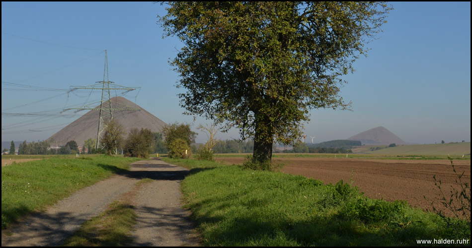 Zwei der drei größten "Pyramiden" auf einem Bild: Links die Halde am Fortschrittschacht, rechts die am Ernst-Thälmann-Schacht