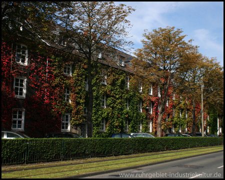 Herbstkleid an den Reihenhäusern an der Sommerburgstraße