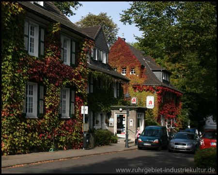 Apotheke im Laubenweg: Rotfärbung des Weinlaubes