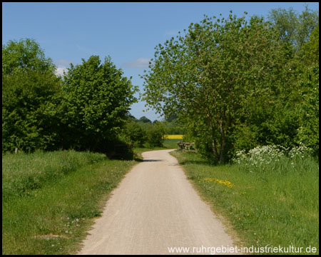 Radweg entlang des Massener Bachs (Blick zurück)