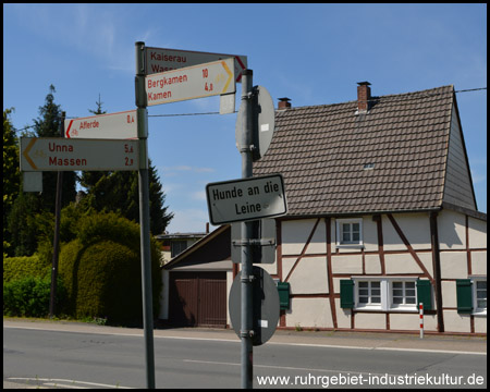 Überquerung einer Landstraße in Afferde (Blick zurück)