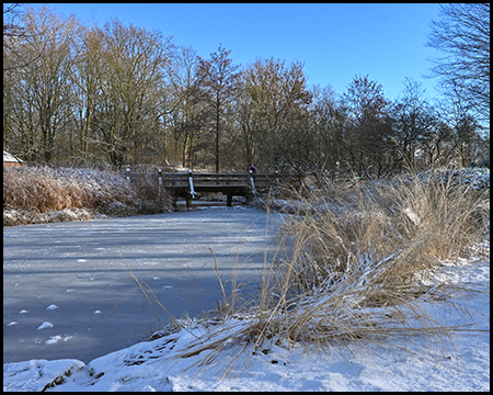 Zugefrorener Teich mit vertrockneten Gräsern am Ufer, Holzbrücke im Hintergrund zwischen kahlen Bäumen unter klarem Himmel.