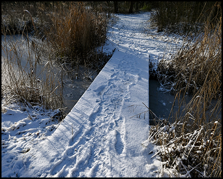 Schmaler Holzsteg führt durch verschneites Feuchtgebiet mit vertrockneten Gräsern und gefrorenen Wasserflächen.