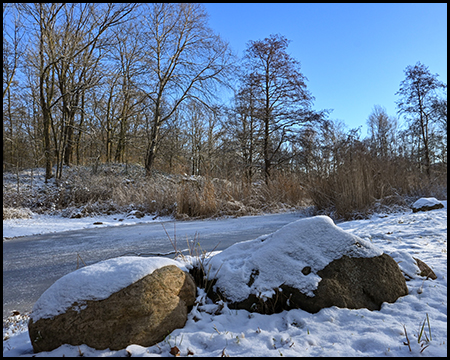 Teilweise zugefrorener Teich mit verschneiten Steinen im Vordergrund, vertrocknetes Schilf und kahle Bäume am Ufer.