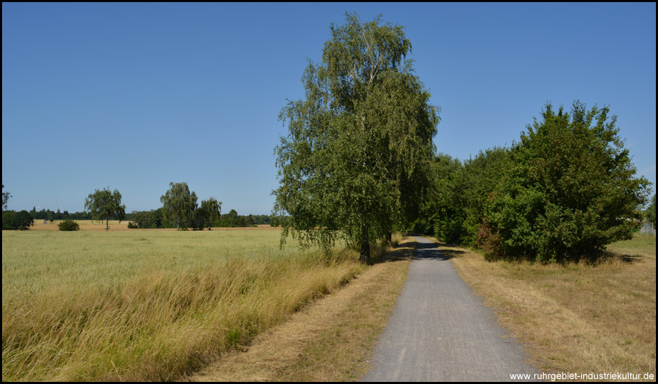 Der Radweg führt auf alter Bahntrasse durch landwirtschaftliche Flächen und wird offenbar gut gepflegt