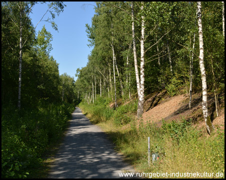 Hinter der Straßenbrücke liegt rechts die Bergehalde