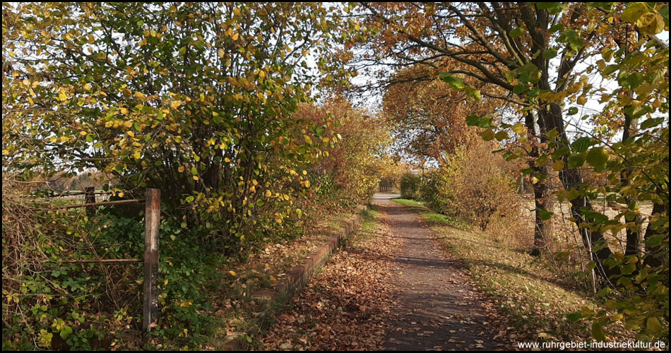 Ehemaliger Bahnsteig an der Mühlhauser Straße