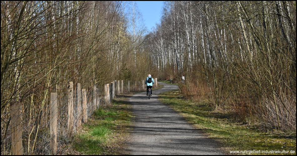 Radfahrerin auf dem Max-von-der-Grün-Weg in Bönen