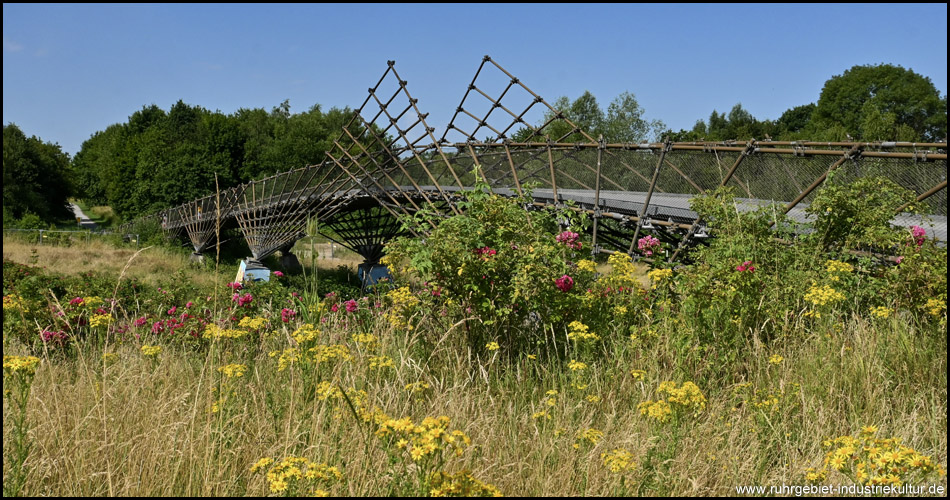 Mechtenbergbrücke im Landschaftspark Mechtenberg